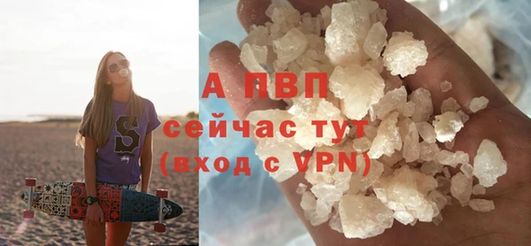 ПСИЛОЦИБИНОВЫЕ ГРИБЫ Осташков