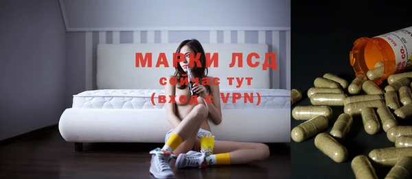 ПСИЛОЦИБИНОВЫЕ ГРИБЫ Осташков