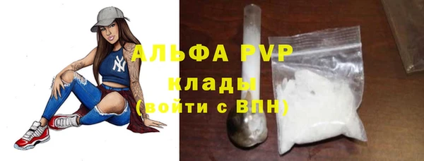 крисы Осинники