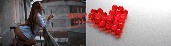 крисы Осинники