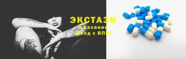 крисы Осинники