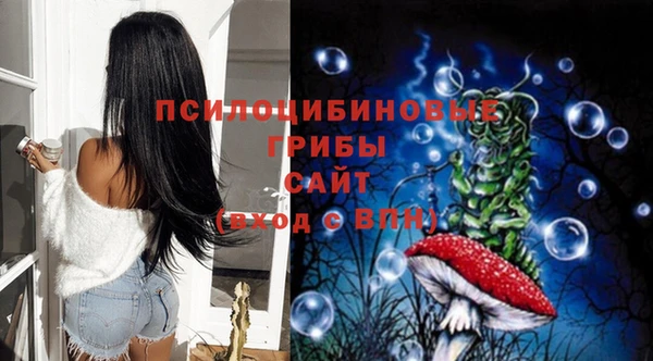 крисы Осинники