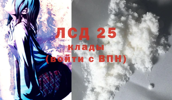 ПСИЛОЦИБИНОВЫЕ ГРИБЫ Осташков