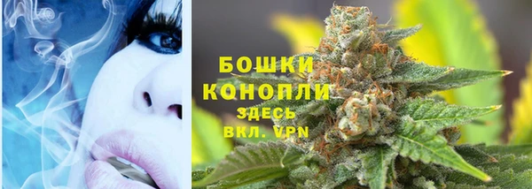 крисы Осинники
