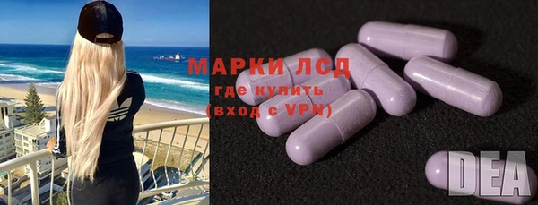 ПСИЛОЦИБИНОВЫЕ ГРИБЫ Осташков