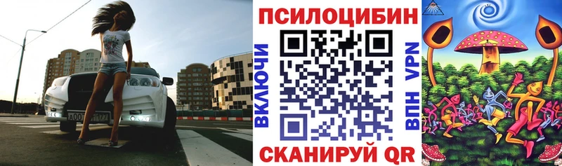 Псилоцибиновые грибы Psilocybine cubensis  kraken ссылки  Хилок 
